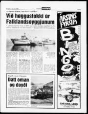 Síða 3