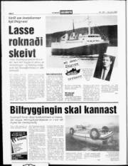 Síða 6