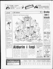 Síða 20