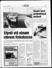 Síða 3