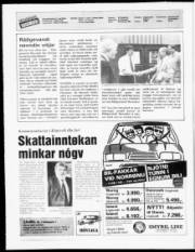 Síða 2