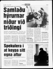 Síða 3