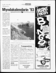 Síða 15