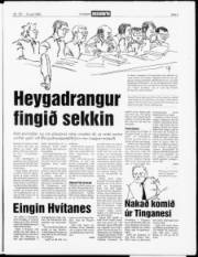 Síða 3