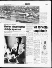 Síða 13