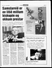 Síða 15