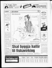 Síða 24