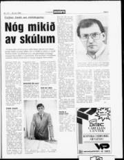 Síða 5