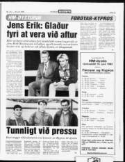 Síða 15