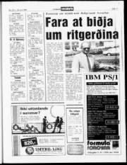 Síða 17