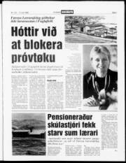 Síða 3