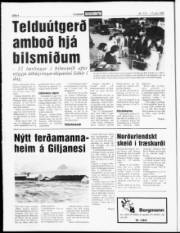 Síða 4