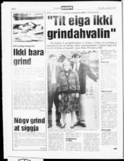 Síða 6
