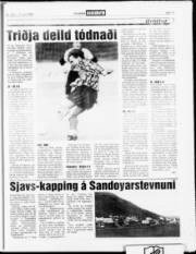 Síða 15