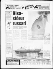 Síða 20