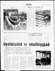 Síða 6