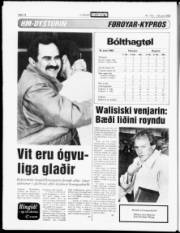 Síða 14