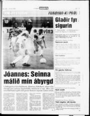 Síða 15