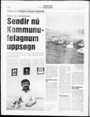 Síða 6