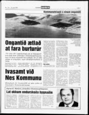 Síða 7