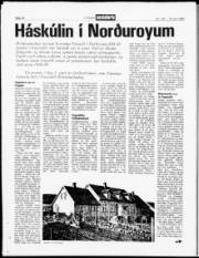 Síða 14
