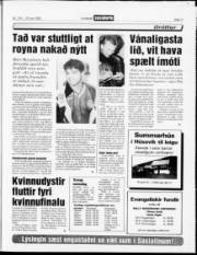 Síða 17