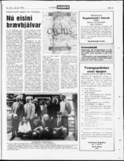 Síða 19