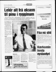 Síða 3