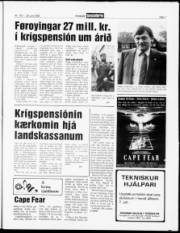 Síða 7