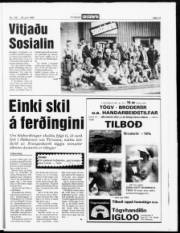 Síða 13