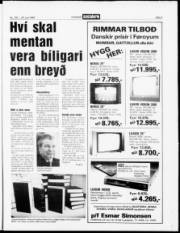 Síða 3