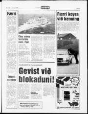 Síða 5
