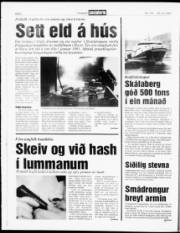 Síða 6