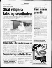 Síða 5
