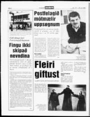 Síða 6