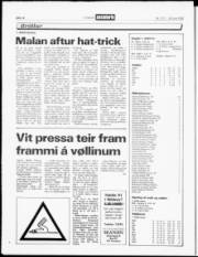 Síða 14
