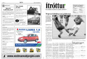 Síða 13