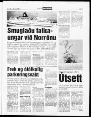 Síða 3