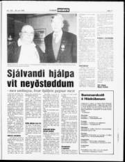 Síða 11
