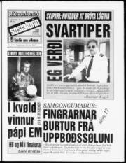 Síða 1