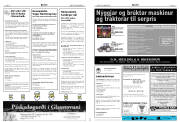 Síða 15