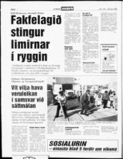 Síða 4