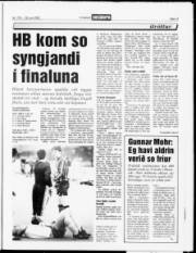 Síða 13