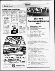Síða 19