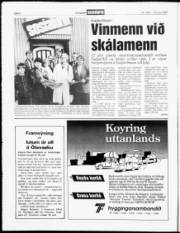 Síða 4