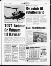 Síða 3