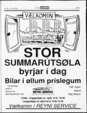 Síða 13