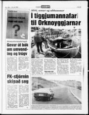 Síða 15