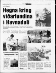 Síða 17