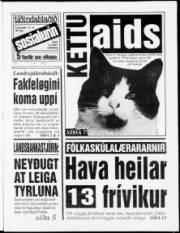 Síða 1